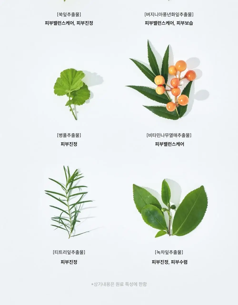 [단독기획]메디온 퍼퓸미스트 기획세트(청결티슈 3매 추가증정) 상세페이지 59